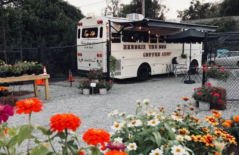 Hendrix The Bus for hire